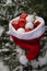 On the branches of a natural snow-covered fir lies a Santa Claus hat full of gifts and sweets, the minimal concept of