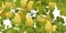 Branches overgrown pear with ripe fruits. Garden plant with edible harvest. Seamless pattern composition. Branch with