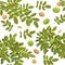 Branches overgrown Walnut with ripe fruits. Garden plant with edible harvest. Seamless pattern composition. Branch with