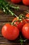 Branches of ripe red tomatoes and branches of rosemary on dark wooden background. Close-up, selective focus. Tomatoes in drops of