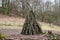 Branches stack, wood lumber pile outdoor