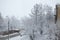 Branches of trees in the fluffy snow. City street in the snowfall. Winter, falling fluffy snow on the tree