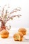 Branches of a willow and biscuits on a light background