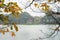 Branches of yellow leaves with Turtle Tower on background at Ho Guom lake, center of Hanoi