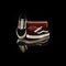 Brand new black and white Vans Old Skool shoes with box