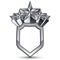Branded gray geometric symbol with five stylized silver stars, b