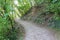 The Brandis Waalweg trekking path in Italy