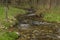 Branna river in spring cloudy evening with fresh green grass