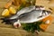 Branzino fish on cutting board