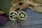 Brass cog wheels, autumn leaves on wood background