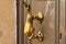 Brass door knocker shape of dolphin on old brown doors