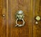 Brass doorknocker, lion head and snake loop design