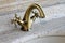 Brass faucet