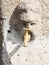 Brass Faucet in Pompeii Stone Face