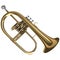 Brass Flugelhorn