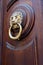 Brass lion head shaped door handle