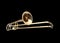 Brass slide trombone