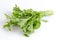 Brassica juncea on the white background