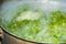 Brassica,vegetable leaves in boiling water