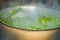 Brassica,vegetable leaves in boiling water