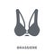 Brassiere icon from Clothes collection.