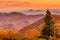 Brasstown Bald, Georgia, USA view of Blue Ridge Mountains in autumn