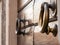 Brassy doorknob on wooden door, two handles