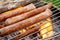 Bratwurst or Hot Dogs on Grill
