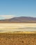 Brava Lagoon Landscape, La Rioja, Argentina