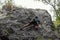 Brave climber scaling a towering cliff face in a lush green forest