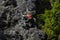 Brave climber scaling a towering cliff face in a lush green forest