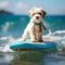 A brave small dog surfing on a SUP board on the sea or the lake. Close up of a Beaver Yorkshire Terrier dog surfing on surfboard.