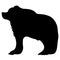 Brave wild bear silhouette