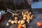 Brazier in a black tunic grills meat and vegetables