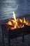 Brazier chargrill, burning firewood, smoke, hot flame of fire on river shore natural background