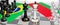 Brazil and Belarus - talks, debate, dialog or a confrontation between those two countries shown as two chess kings with flags that