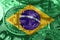 Brazil bitcoin flag, national flag cryptocurrency concept