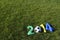 Brazil Colors Blue Green Yellow Football 2014 Message Grass Background