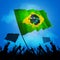 Brazil fan crowd with flag