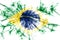 Brazil fireworks sparkling flag. New Year 2019 and Christmas party concept.