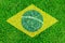 Brazil grass of Soccer championship 2014