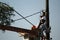 Brazil - Man doing the maintenance of the electric network