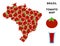 Brazil Map Collage of Tomato