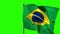 Brazil national flag waving on flagpole