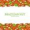 Brazil nut Horizontal seamless border. Vector illustration card top and bottom of a delicious brazilian fruit in the