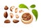 Brazil nut set, different statements and rotations