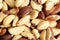 Brazil nuts background closeup. Shelled brazil nuts, top view