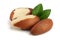 Brazil nuts with leaves on white background closeup. Full depth of field