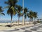 Brazil - Rio de Janeiro - Leme - Palm Trees - Beach - Sea - Tropical - Landscape