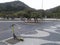 Brazil - Rio de Janeiro - Leme -  Square - Trees - Scooter - Mountain - Bicycle Path